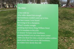 The Rider by Naomi Shihab Nye